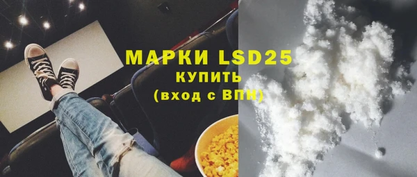 прущие грибы Абинск