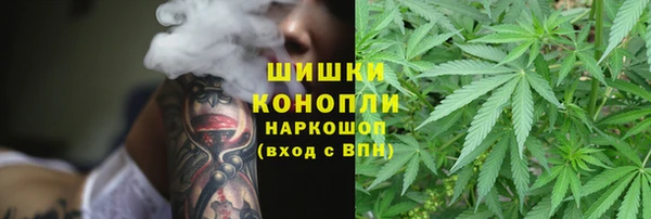каннабис Новокубанск