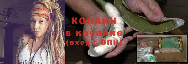 прущие грибы Абинск
