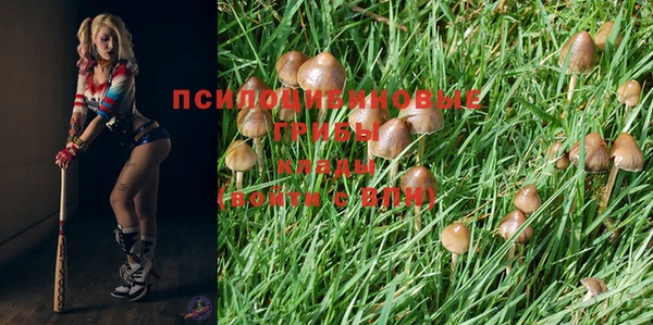 эйфоретик Абдулино