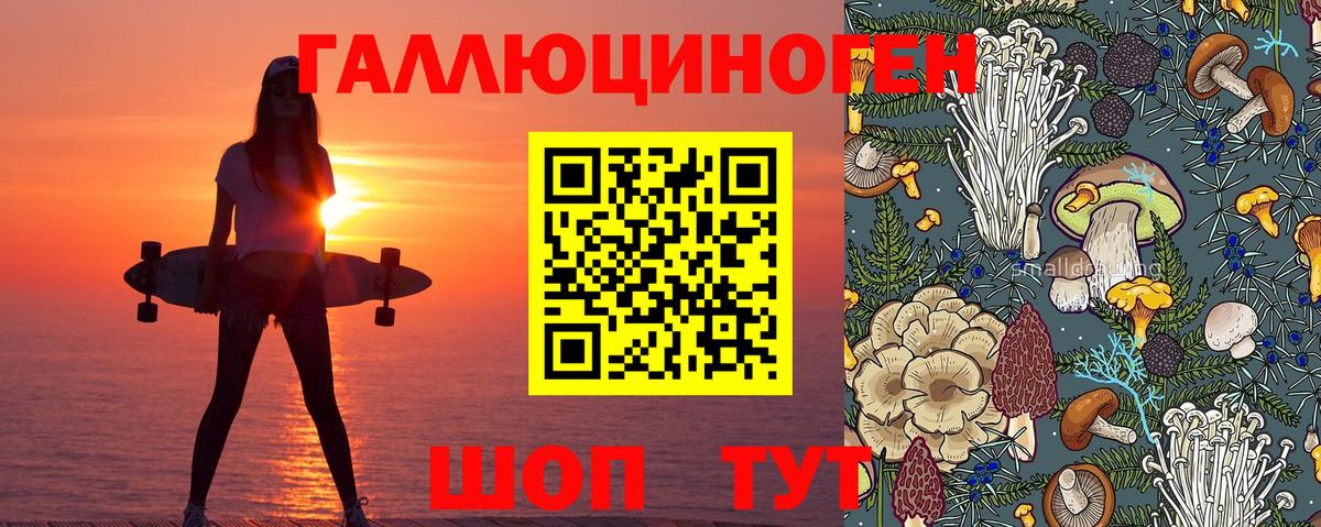 Псилоцибиновые грибы прущие грибы  Вход с VPN  Псилоцибиновые грибы прущие грибы  Братск 